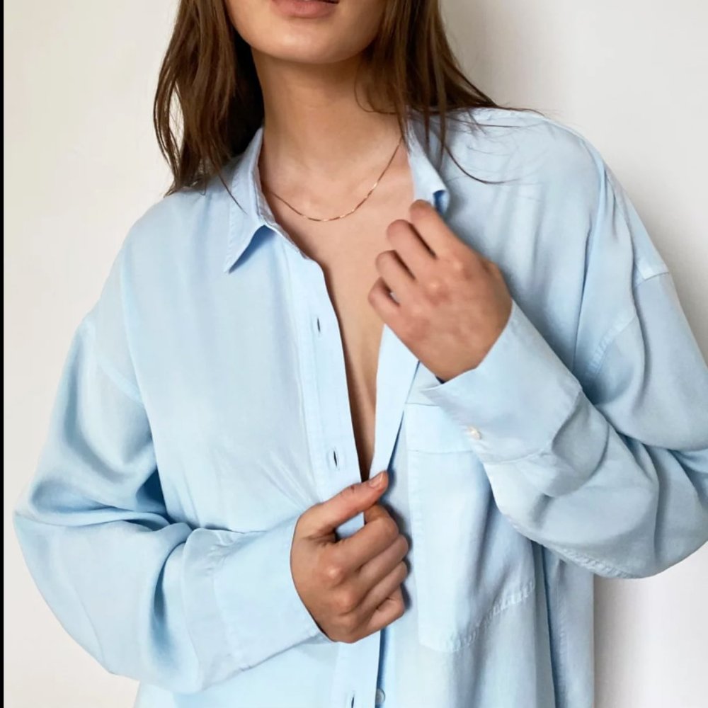 Aritzia Babaton Lumsden Button-Up